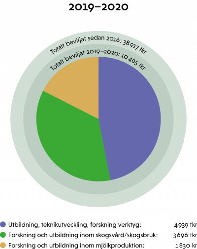 Wernerstiftelsen, diagram 2019-2020