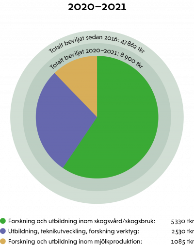 Wernerstiftelsen, diagram 2020-2021